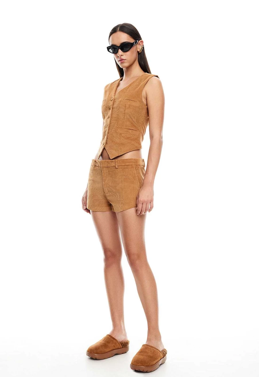 Lioness Women's Saddle Shorts - High-Waisted Comfort Fit Athletic Casual Stretchable